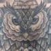 Tattoos - Owl - 77709